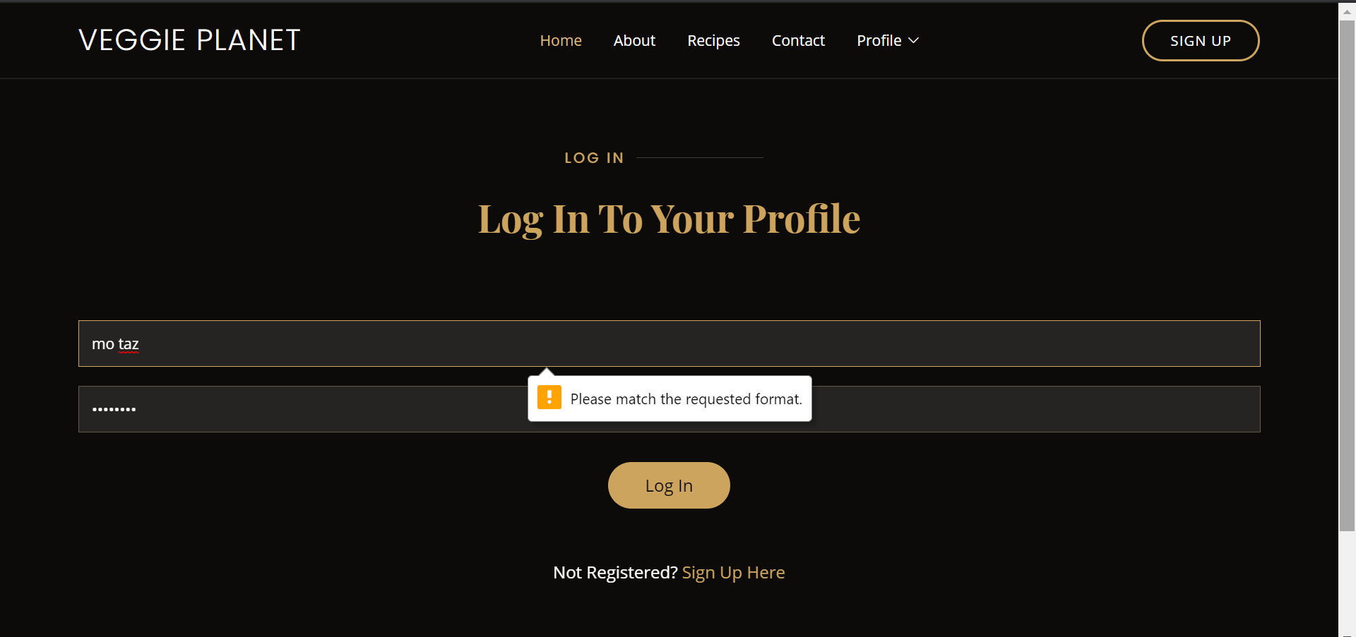 screenshot of invalid login